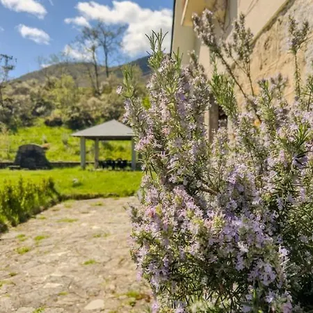 Millares 度假居 Ribadelago