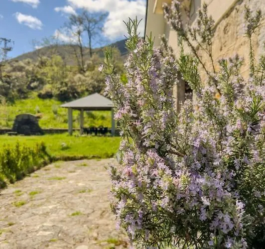 Millares Casa de Férias Ribadelago
